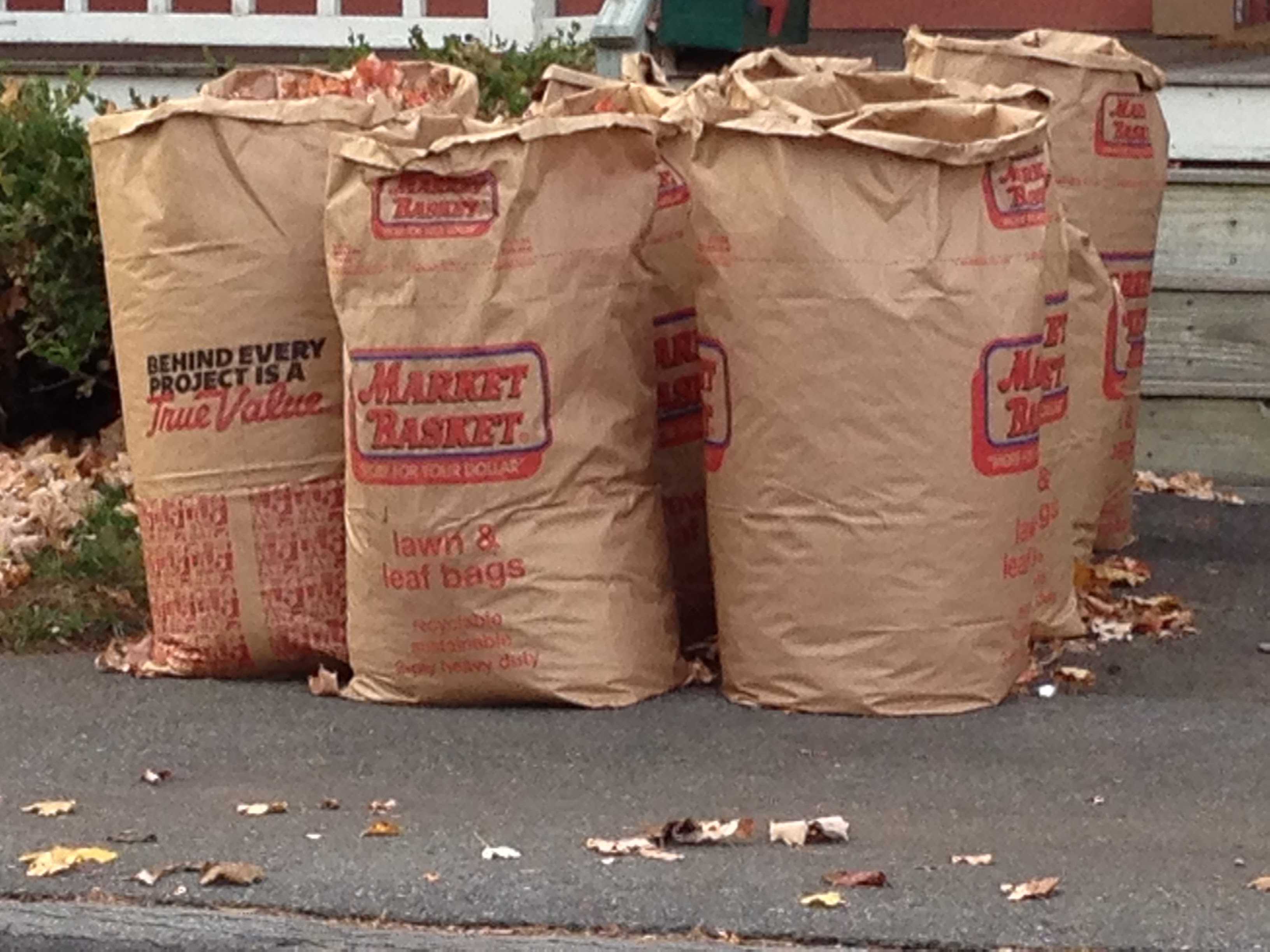 CURBSIDE LEAF PICK UP IS ON SATURDAY, MAY 16, 2020 AT 700 a.m. Town